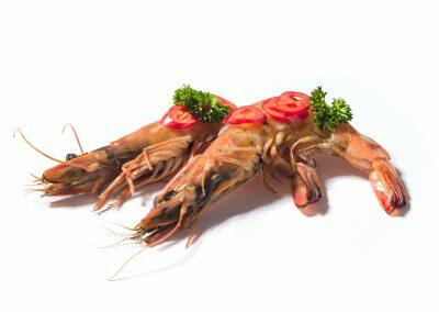 Gamba's met kop